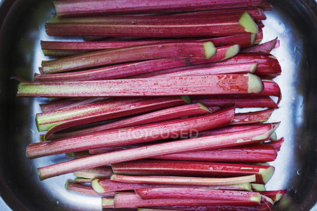 Tray with fresh rhubarb. — Stock Photo