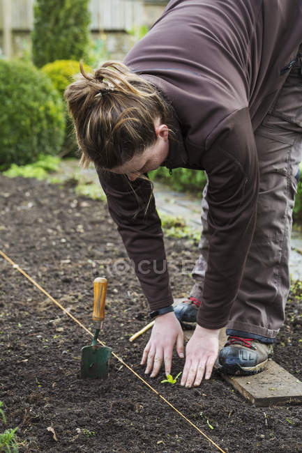 Frau pflanzt einen Sämling in ein Beet — Stockfoto