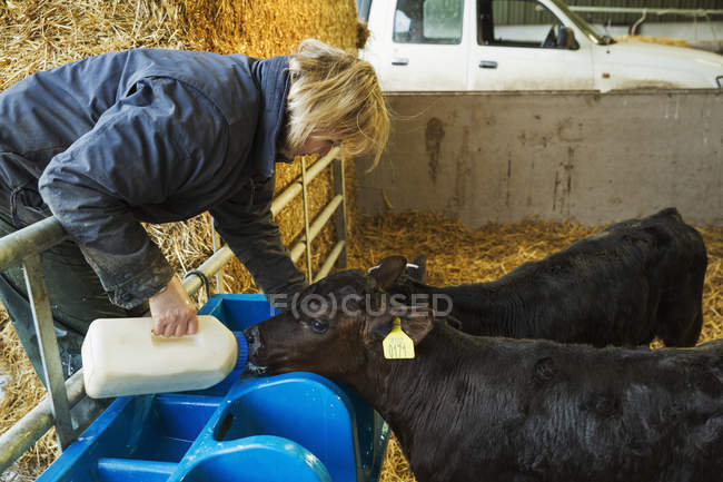 Mulher derramando leite em um alimentador — Fotografia de Stock