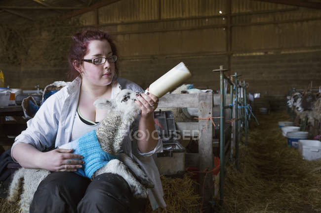 Жінка годує новонародженого баранини — стокове фото