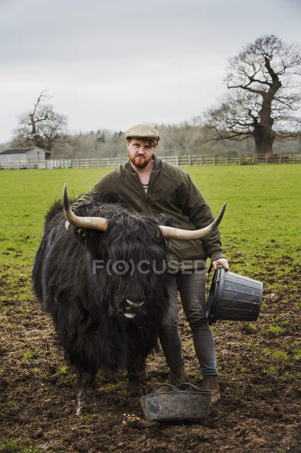 Granjero con vaca negra de montaña - foto de stock