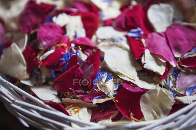 Pétales de fleurs séchées . — Photo de stock
