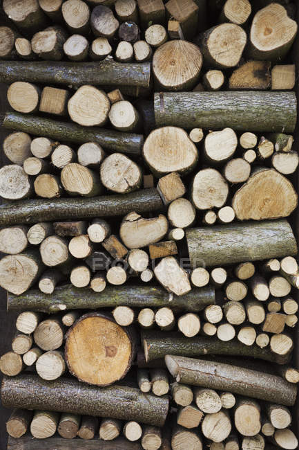 Montón de troncos de madera - foto de stock