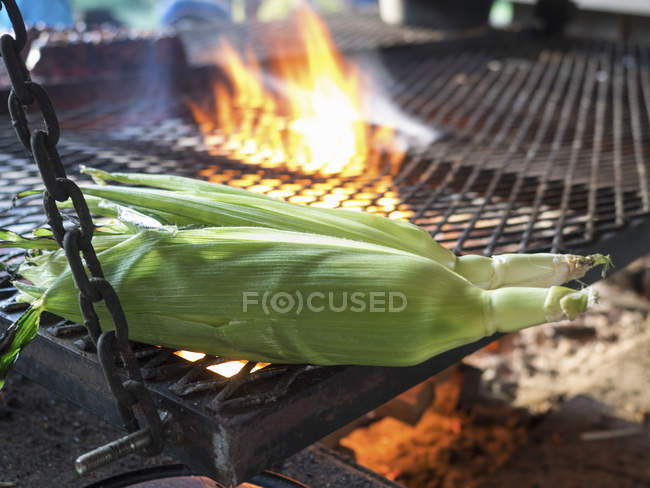 Sweetcorn roasting on barbeque — Stock Photo