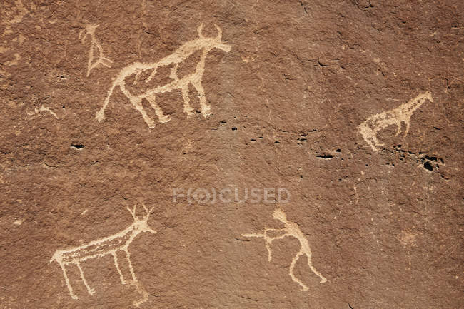Petroglifi nativi americani — Foto stock