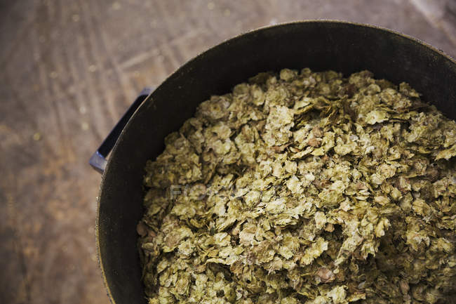 Dried hops in container in brewery. — Stock Photo