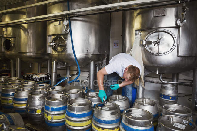 Hombre trabajando en cervecería - foto de stock