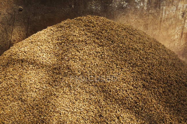 Heap of spent grain — Stock Photo