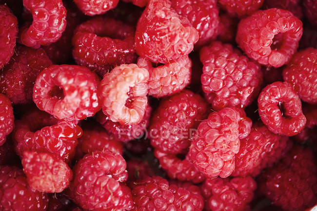 Close up of fresh raspberries. — Stock Photo