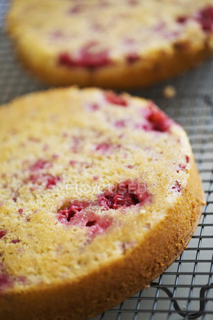 Layers of raspberry cake. — Stock Photo