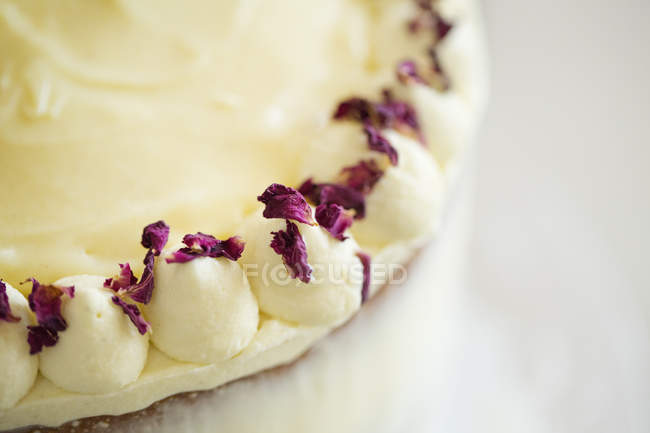 Cake with cream and purple flower petals. — Stock Photo
