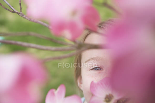 Joven chica mirando a través de flor - foto de stock