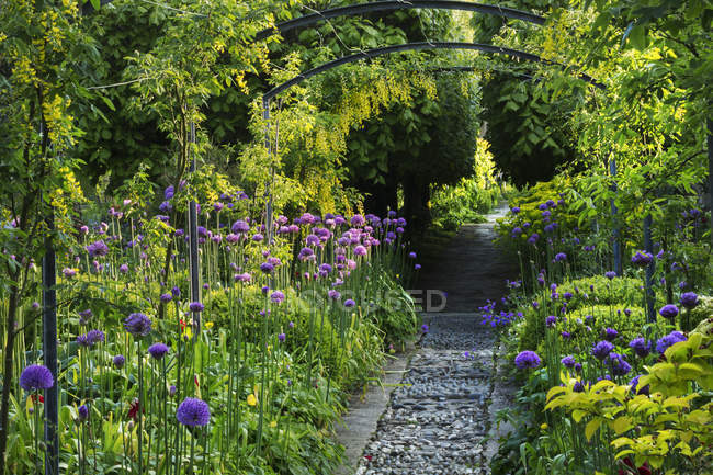 Vista lungo il sentiero in giardino — Foto stock