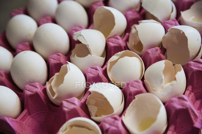 Cáscaras de huevo blanco - foto de stock