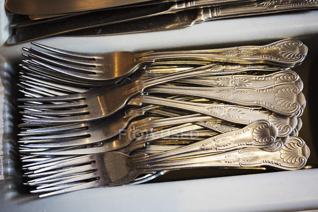 Close up of forks in tray. — Stock Photo