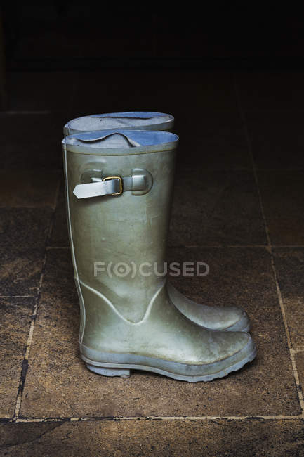 Par de botas verdes Wellington — Fotografia de Stock