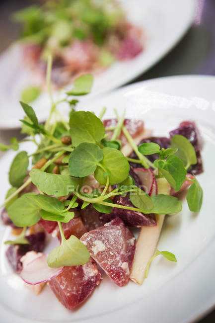 Plate of food with salad garnish. — Stock Photo