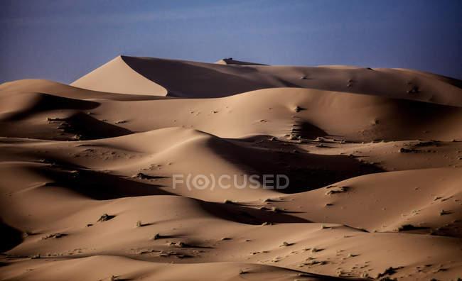 Sand dunes in wave shapes — Stock Photo