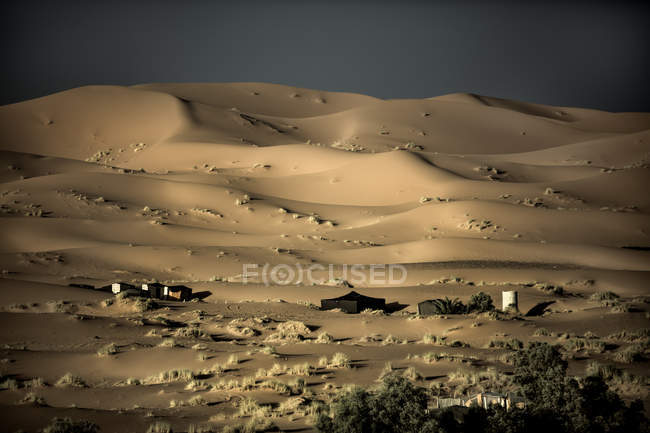 Desert landscape with sand dunes — Stock Photo