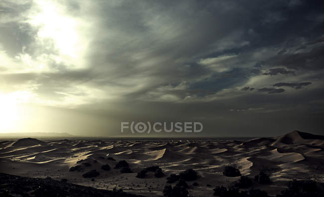 Desert landscape with sand dunes — Stock Photo