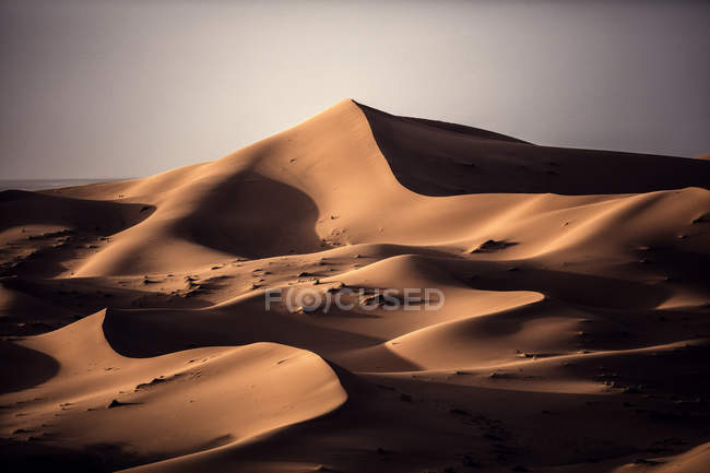 Wüstenlandschaft mit Sanddünen — Stockfoto