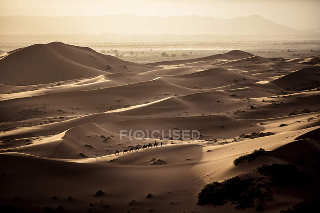 Paisaje del desierto con caravana - foto de stock