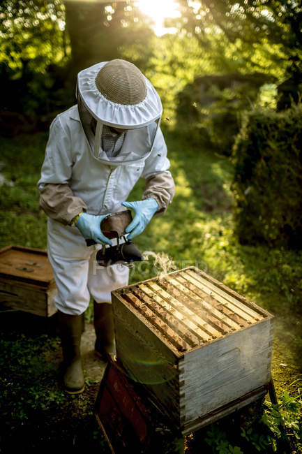 Пчеловод во время работы — стоковое фото