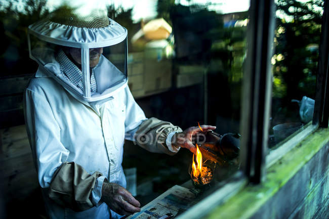 Beekeeper during work — Stock Photo