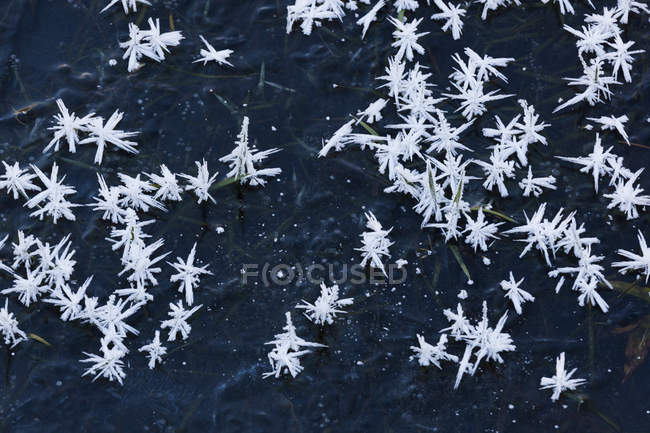 Ice crystals on black background — Stock Photo
