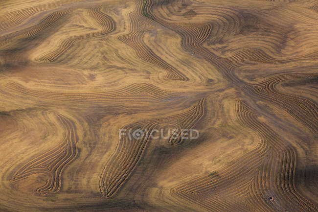 Ploughed fields and furrows — Stock Photo