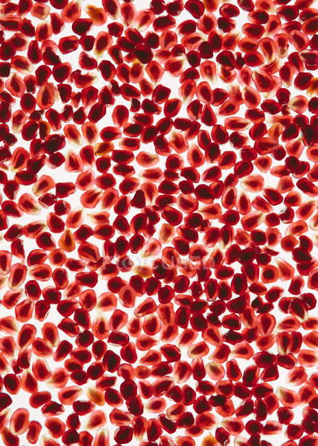 Pomegranate seeds pattern — Stock Photo