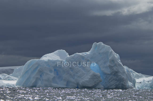 Iceberg galleggianti nell'oceano — Foto stock