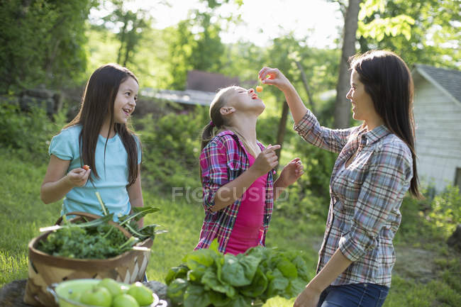 Жінка годує дочок свіжими вишнями . — стокове фото