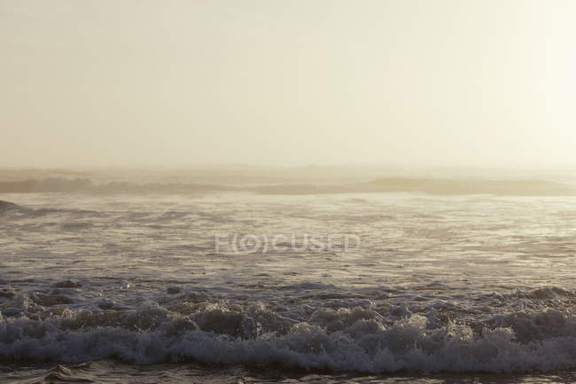 Coastal scene of ocean breaking wave at Olympic National Park in Washington, USA — Stock Photo