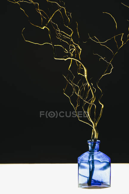 Cut willow tree branches in glass vase on table. — Stock Photo