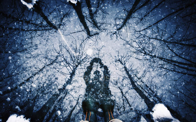 Shadow on surface of ice of man and trees. — Stock Photo