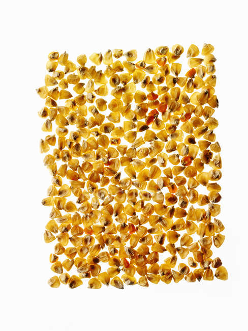 Yellow corn maize kernels arranged in pattern on white background. — Stock Photo