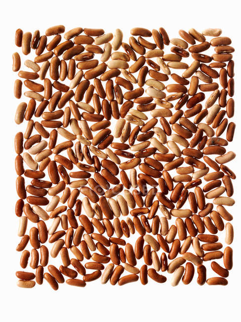Grani di riso rosso disposti a motivo su fondo bianco . — Foto stock