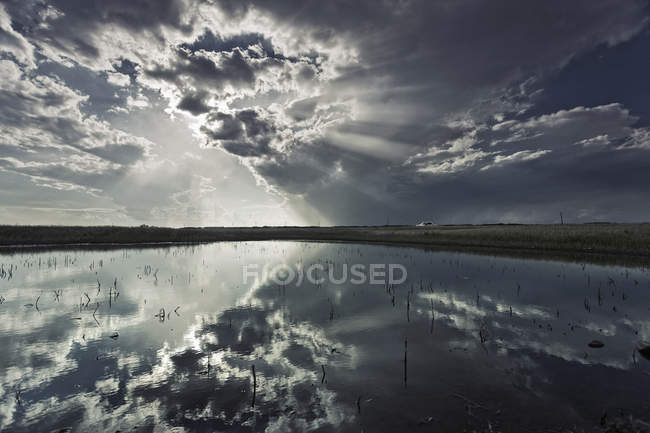 Horizon and mirror reflection of clouds on water. — Stock Photo