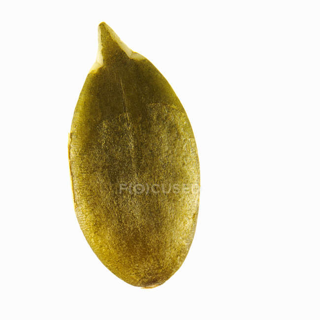 Close-up of sunflower seed on white background. — Stock Photo