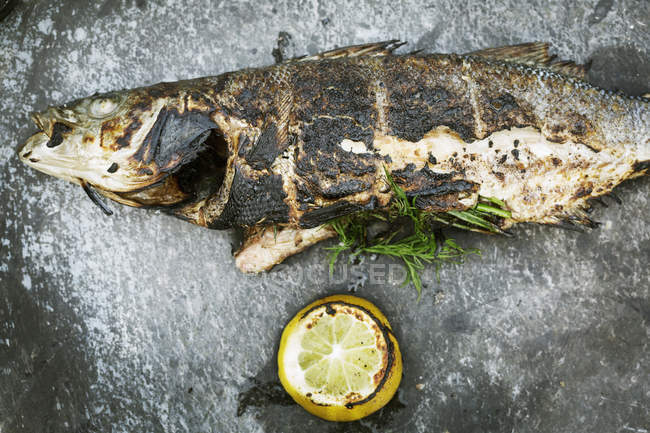 High angle view of grilled fish with lemon and herbs on table. — Stock Photo