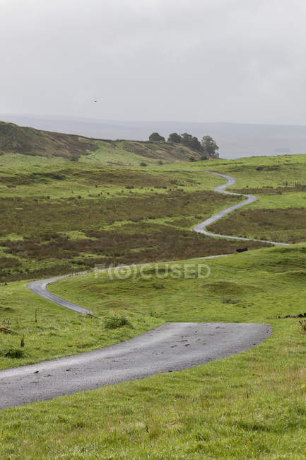 Estrada sinuosa através do campo de charneca aberto de Northumberland, Inglaterra
. — Fotografia de Stock