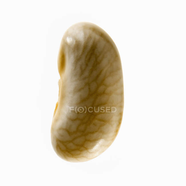 Close-up of yellow flageolet bean on white background. — Stock Photo