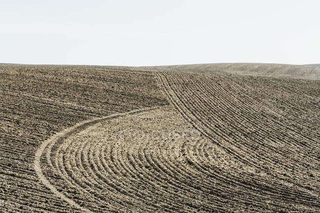 Natürliche Muster gepflügter Bodenfurchen auf Ackerland in der Nähe von Pullman, Washington, USA — Stockfoto