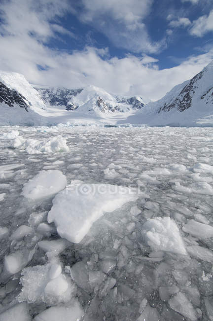 Iceberg en la base del glaciar en Wilhelmina Bay, Antártida . - foto de stock