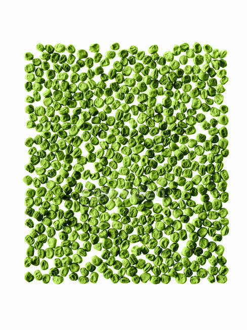 Grüne getrocknete Erbsen im Muster auf weißem Hintergrund angeordnet. — Stockfoto