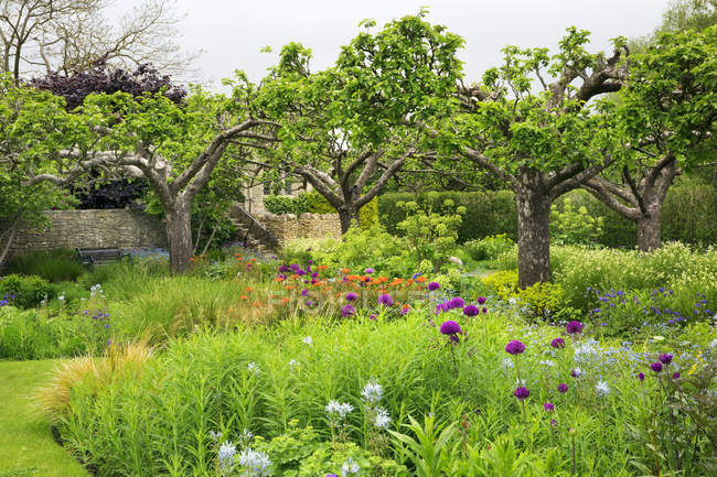 Scène rurale de jardin avec des parterres de fleurs et des arbres dans l'Oxfordshire, Angleterre . — Photo de stock