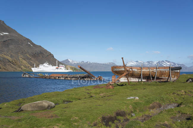 Navio de pesquisa polar perto da costa de Grytviken, na Geórgia do Sul . — Fotografia de Stock