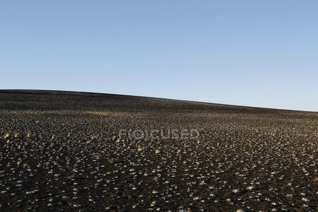 Unfruchtbare Krater der Mondlandschaft, idaho, usa. — Stockfoto