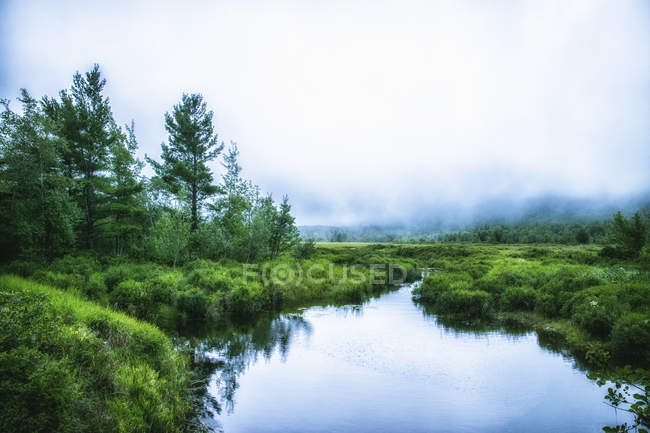 Green meadow and waterway in Acadia National Park in Maine. — Stock Photo